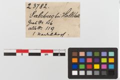 Etiketten zu Bronzegewandnadel (NHMW-PRAE-023782)